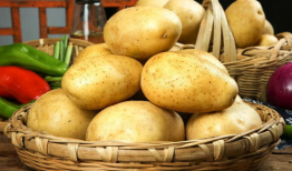 吃瓜娱乐圈土豆是谁,揭秘明星幕后故事